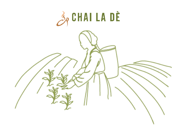 Chai La Dè tea garden illustration